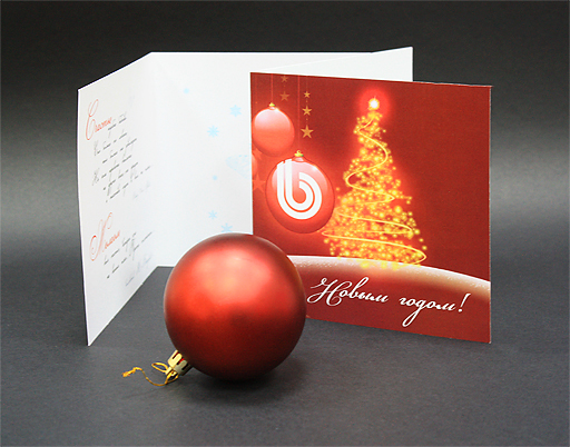 bitrix_card2011_b.jpg